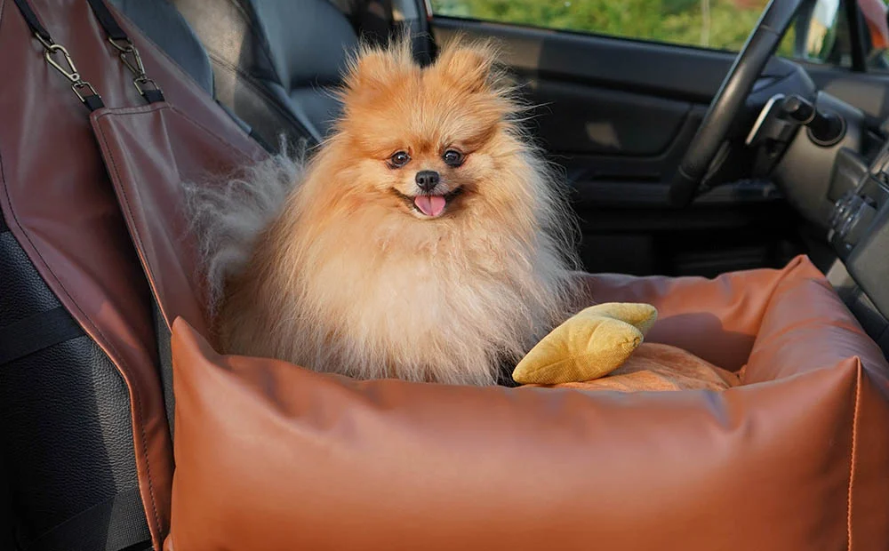 Chevrolet Equinox Dog Car Seat for Pomeranians