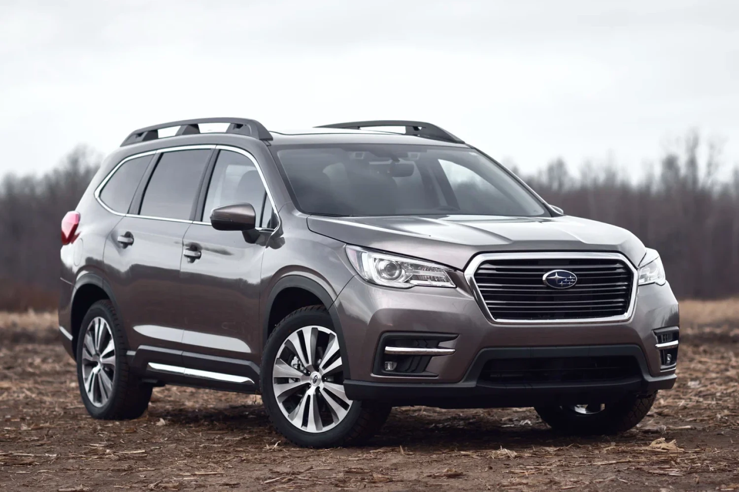 car garbage can for Subaru Ascent