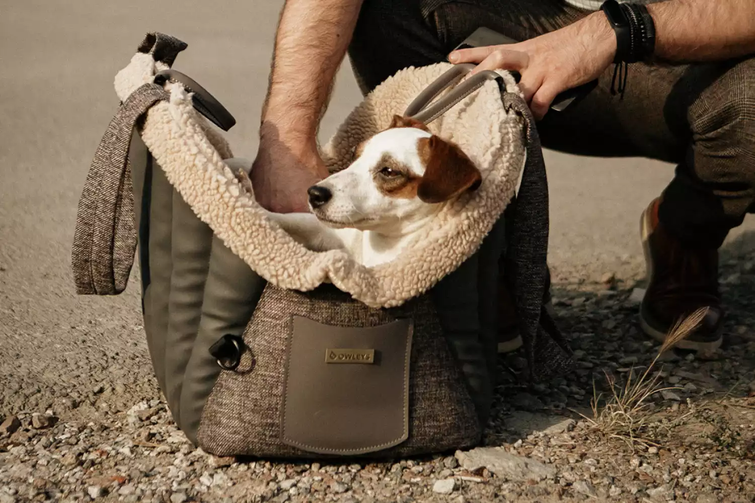 Hyundai Palisade Dog Carrier Car Seat for Lhasa Apso