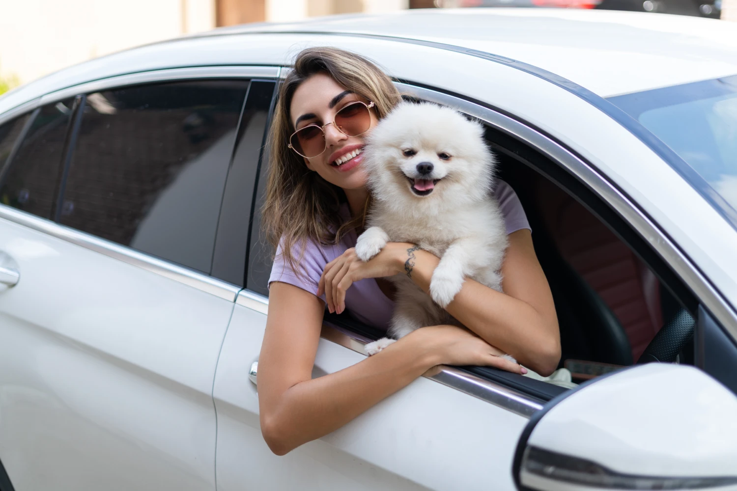 Chevrolet Equinox Dog Car Seat for Pomeranians