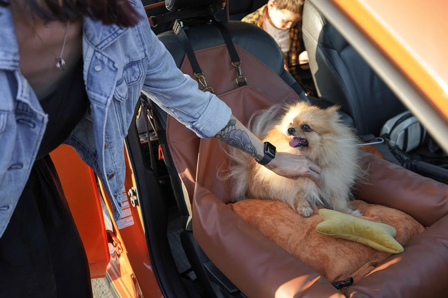 Chevrolet Equinox Dog Car Seat for Pomeranians